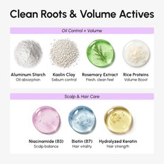 Volumizing Dry Shampoo Powder